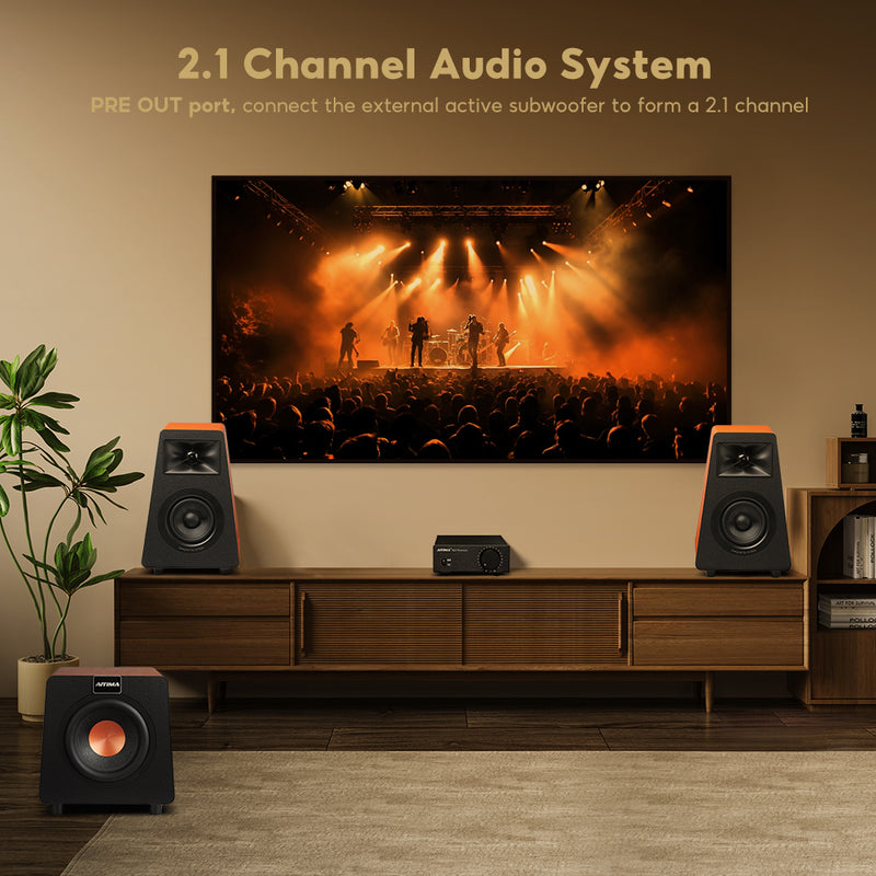 Aiyima AIYIMA A07 Premium