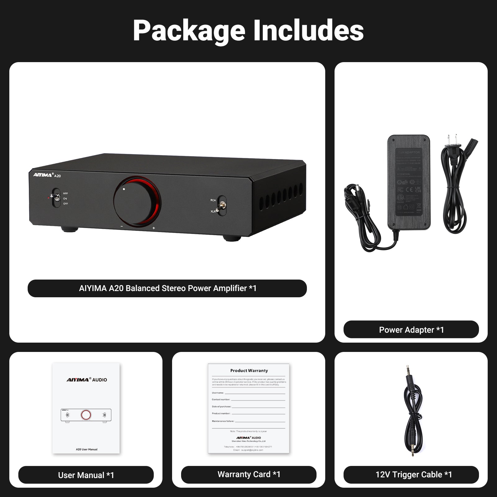 AIYIMA A20 パワーアンプ 300Wx2 AIYIMA A20